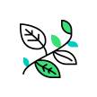 iconos_ibiza_botanico2