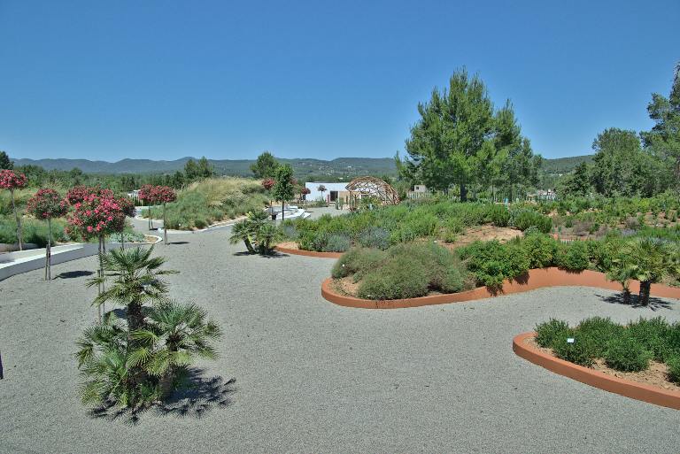 Habitat General ibiza botanico