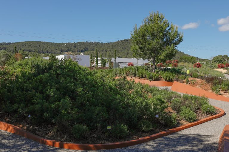 Hábitat forestal