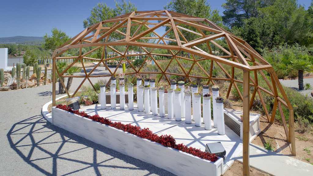Piano vegetal entero