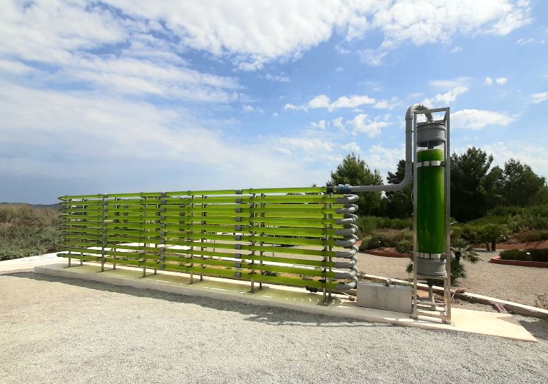 fotobiorreactor tubular