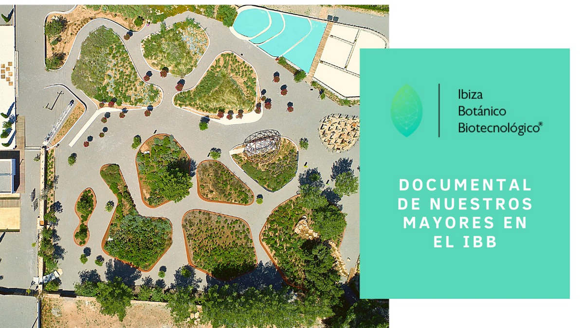 202103-ibb-noticia-documental-mayores