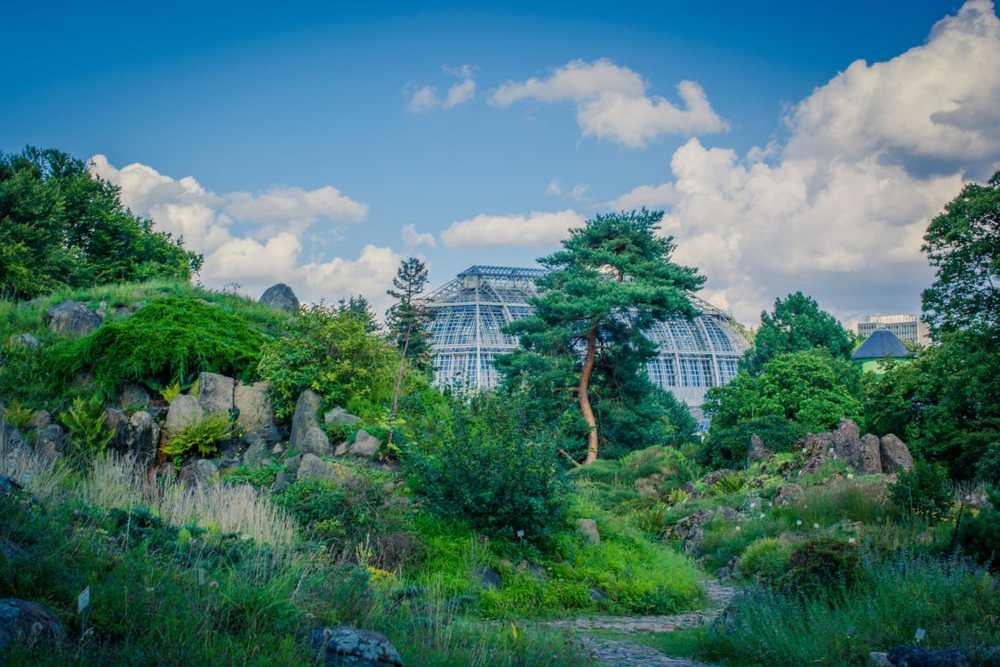 jardin botanico