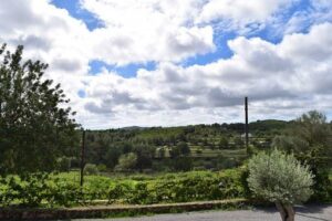 agroturismo ibiza