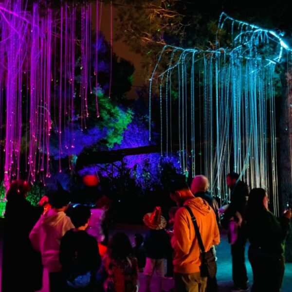 ASTRO MAGIC LIGHTS - Imagen 4