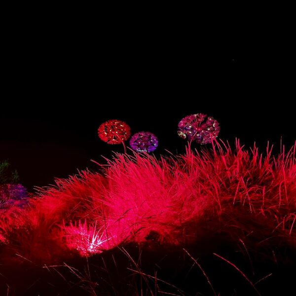 ASTRO MAGIC LIGHTS - Imagen 19