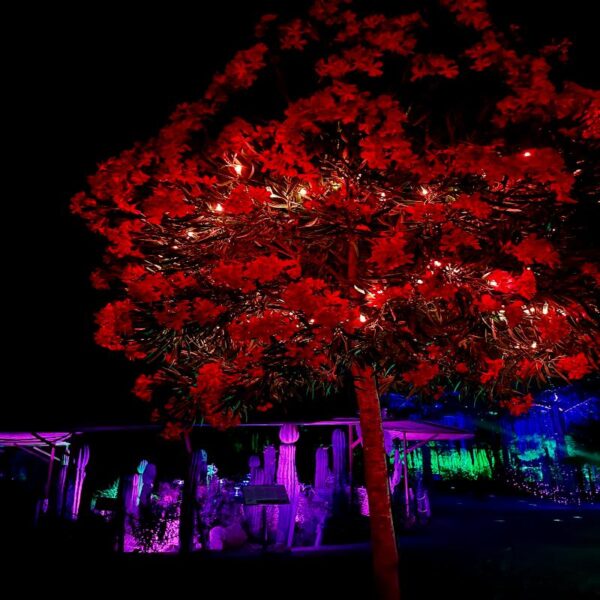 ASTRO MAGIC LIGHTS - Imagen 20