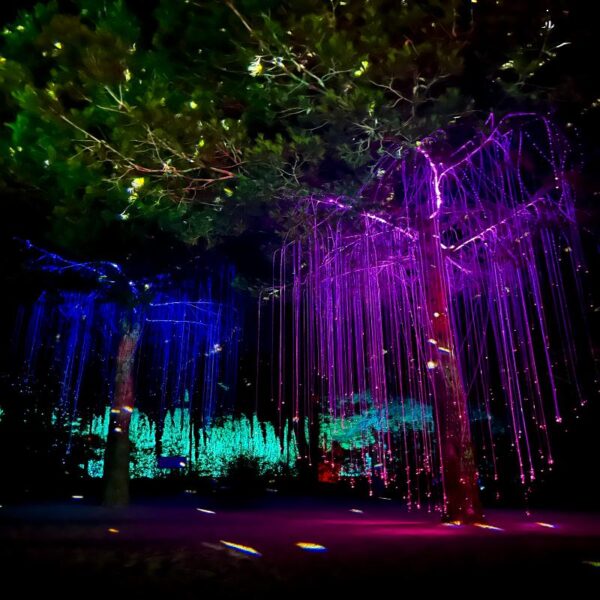 ASTRO MAGIC LIGHTS - Imagen 7