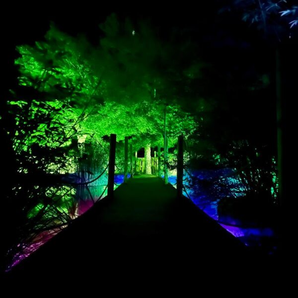 ASTRO MAGIC LIGHTS - Imagen 8