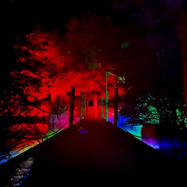 ASTRO MAGIC LIGHTS - Imagen 10