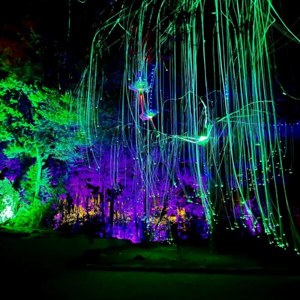 ASTRO MAGIC LIGHTS - Imagen 11