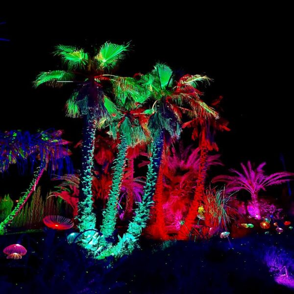 ASTRO MAGIC LIGHTS - Imagen 13