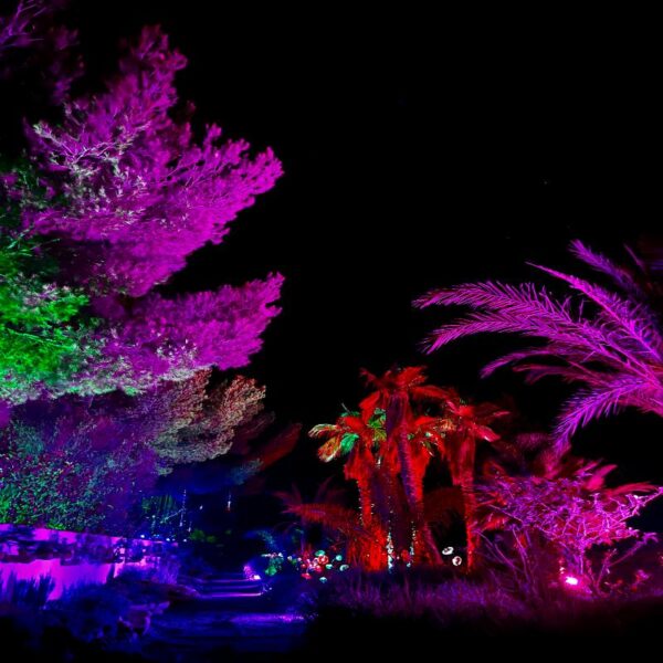 ASTRO MAGIC LIGHTS - Imagen 14