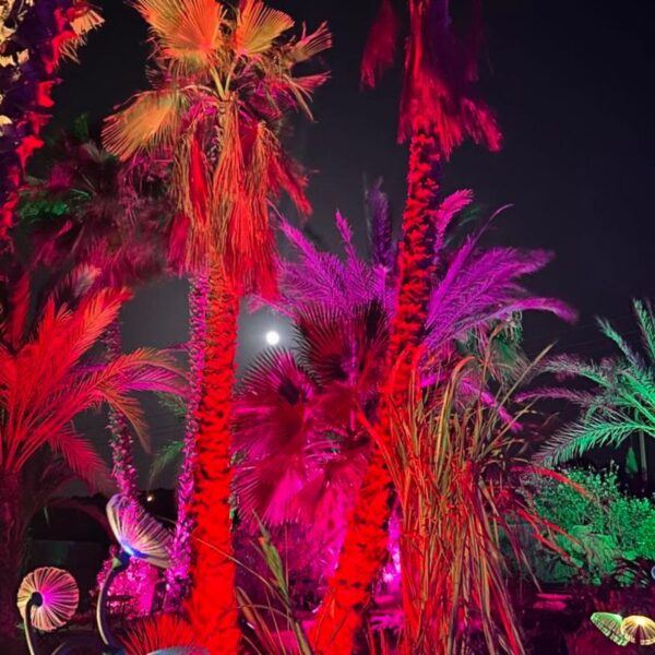 ASTRO MAGIC LIGHTS