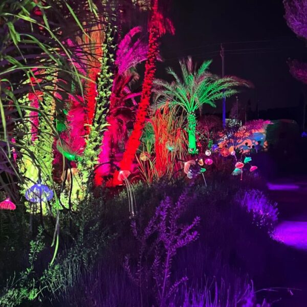 ASTRO MAGIC LIGHTS - Imagen 3